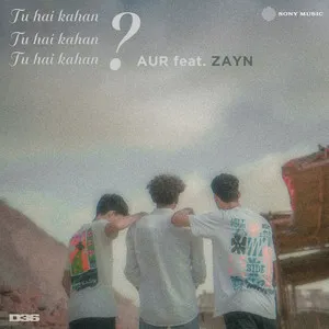 Tu hai kahan (feat. ZAYN) Poster