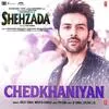  Chedkhaniyan - Shehzada Poster