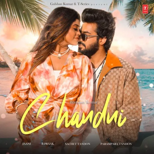 Chandni Poster