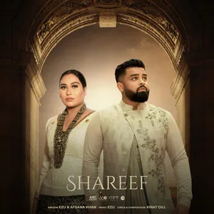  Shareef Song Poster