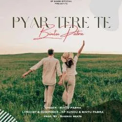 Pyar Tere Te Poster